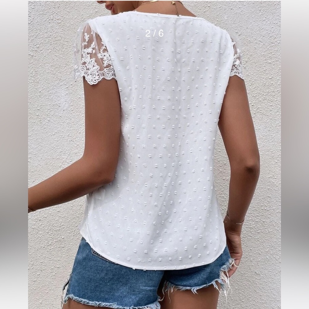 Swiss Dot Guipure Lace Detail Contrast Embroidered Mesh Blouse - Picture 3 of 3